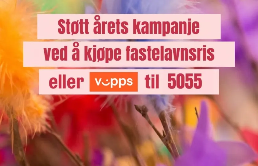 Banner fastelavnskampanje 2025
